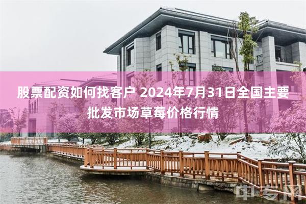 股票配资如何找客户 2024年7月31日全国主要批发市场草莓价格行情