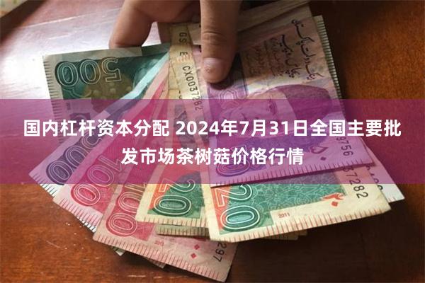 国内杠杆资本分配 2024年7月31日全国主要批发市场茶树菇价格行情