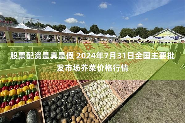 股票配资是真是假 2024年7月31日全国主要批发市场芥菜价格行情