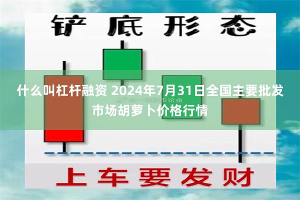 什么叫杠杆融资 2024年7月31日全国主要批发市场胡萝卜价格行情