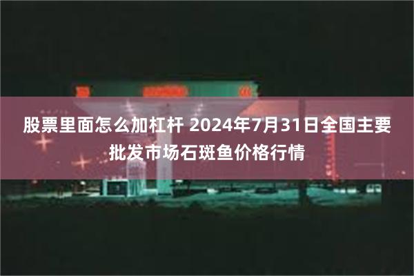 股票里面怎么加杠杆 2024年7月31日全国主要批发市场石斑鱼价格行情