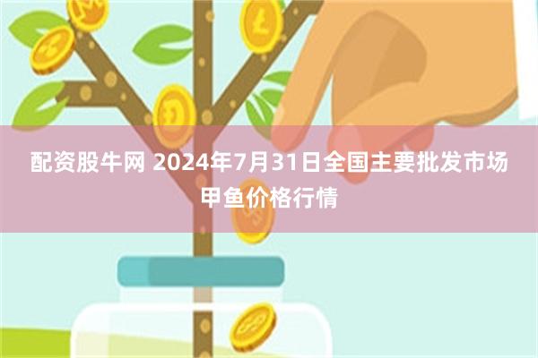 配资股牛网 2024年7月31日全国主要批发市场甲鱼价格行情