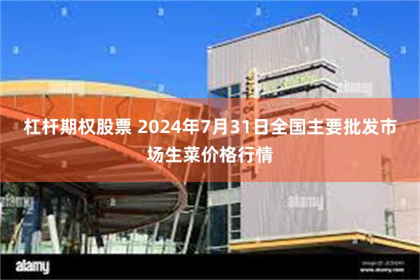 杠杆期权股票 2024年7月31日全国主要批发市场生菜价格行情