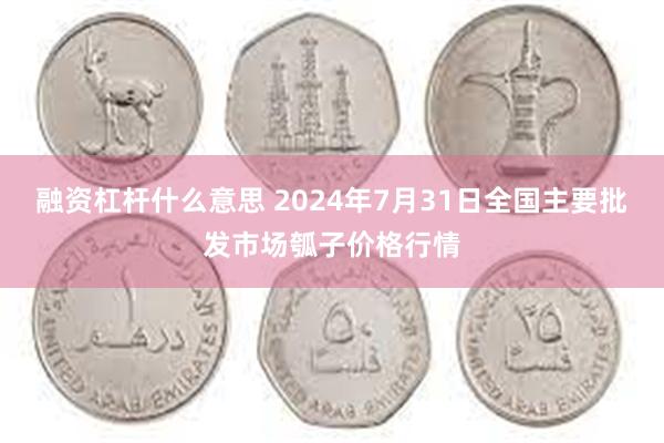 融资杠杆什么意思 2024年7月31日全国主要批发市场瓠子价格行情