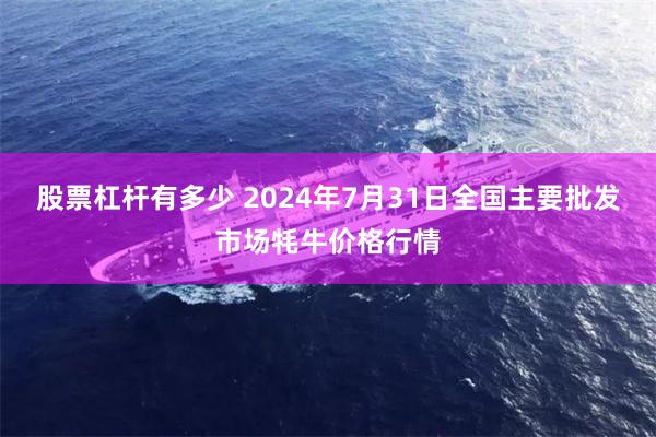 股票杠杆有多少 2024年7月31日全国主要批发市场牦牛价格行情