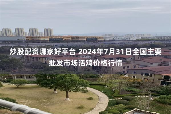 炒股配资哪家好平台 2024年7月31日全国主要批发市场活鸡价格行情