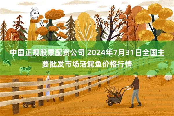 中国正规股票配资公司 2024年7月31日全国主要批发市场活鳜鱼价格行情