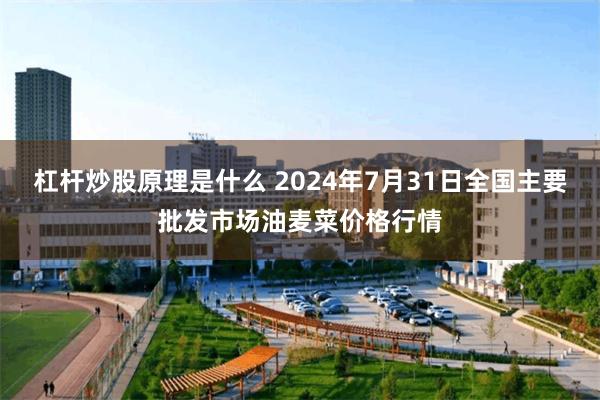 杠杆炒股原理是什么 2024年7月31日全国主要批发市场油麦菜价格行情