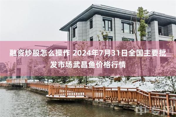 融资炒股怎么操作 2024年7月31日全国主要批发市场武昌鱼价格行情