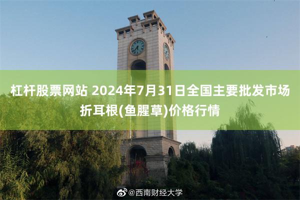 杠杆股票网站 2024年7月31日全国主要批发市场折耳根(鱼腥草)价格行情