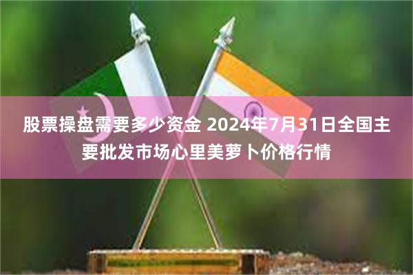 股票操盘需要多少资金 2024年7月31日全国主要批发市场心里美萝卜价格行情