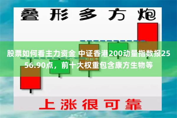 股票如何看主力资金 中证香港200动量指数报2556.90点，前十大权重包含康方生物等