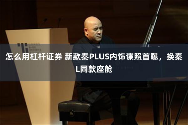 怎么用杠杆证券 新款秦PLUS内饰谍照首曝，换秦L同款座舱