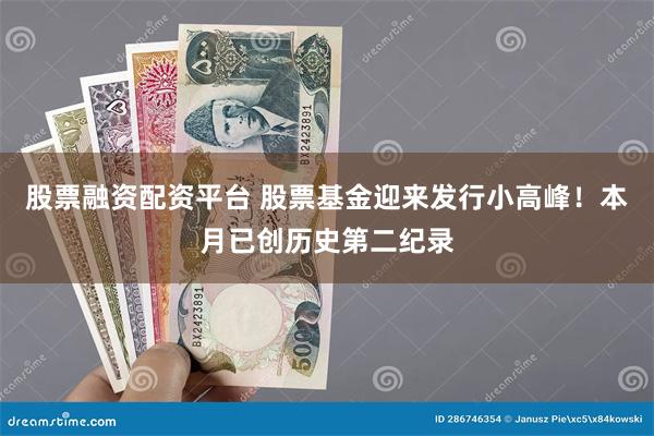 股票融资配资平台 股票基金迎来发行小高峰！本月已创历史第二纪录