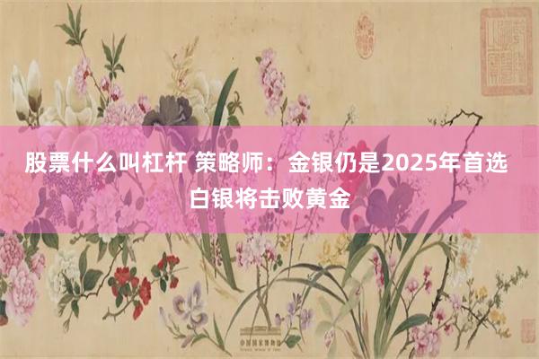 股票什么叫杠杆 策略师：金银仍是2025年首选 白银将击败黄金